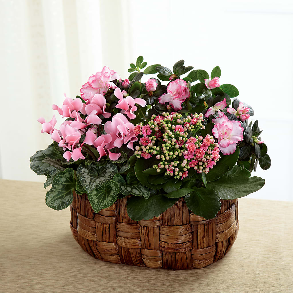 Pink Assortment – Jasmin Florist, S Richmond Hl NY