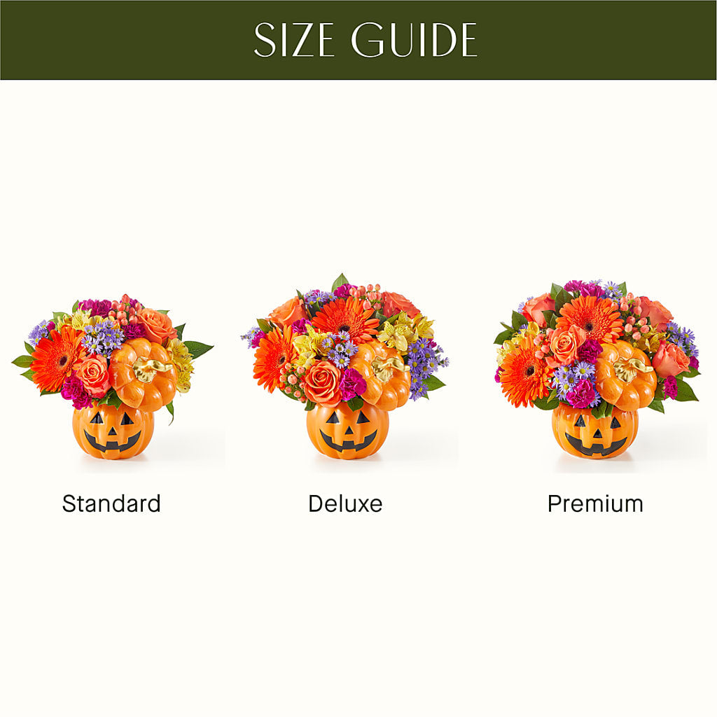Tricks & Treats Pumpkin – Jasmin Florist, S Richmond Hl NY