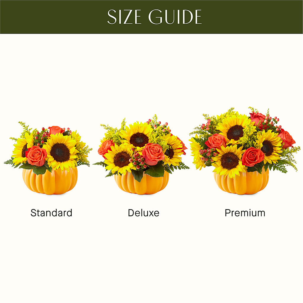 Pick of the Patch Pumpkin Bouquet – Jasmin Florist, S Richmond Hl NY