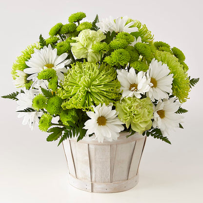 Lucky Charm Basket (Standard) –  Jasmin Florist, S Richmond Hl NY