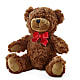 Adorable Plush Bear –  Jasmin Florist, S Richmond Hl NY
