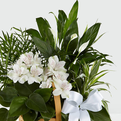 Peace & Serenity Dishgarden –  Jasmin Florist, S Richmond Hl NY