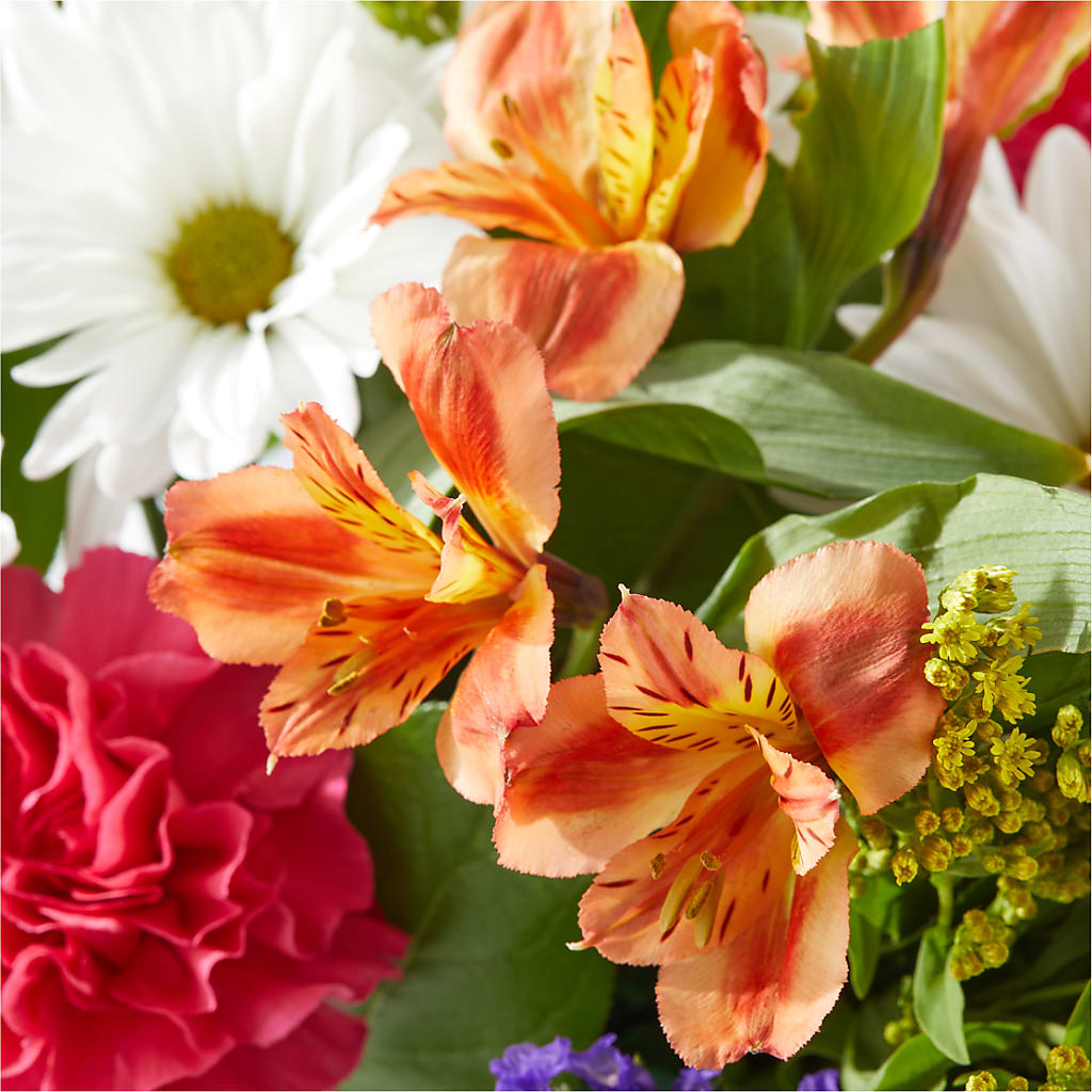 Oopsie Daisy Box Bouquet –  Jasmin Florist, S Richmond Hl NY