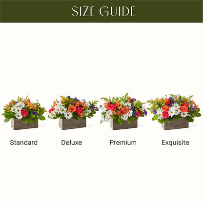 Oopsie Daisy Box Bouquet –  Jasmin Florist, S Richmond Hl NY