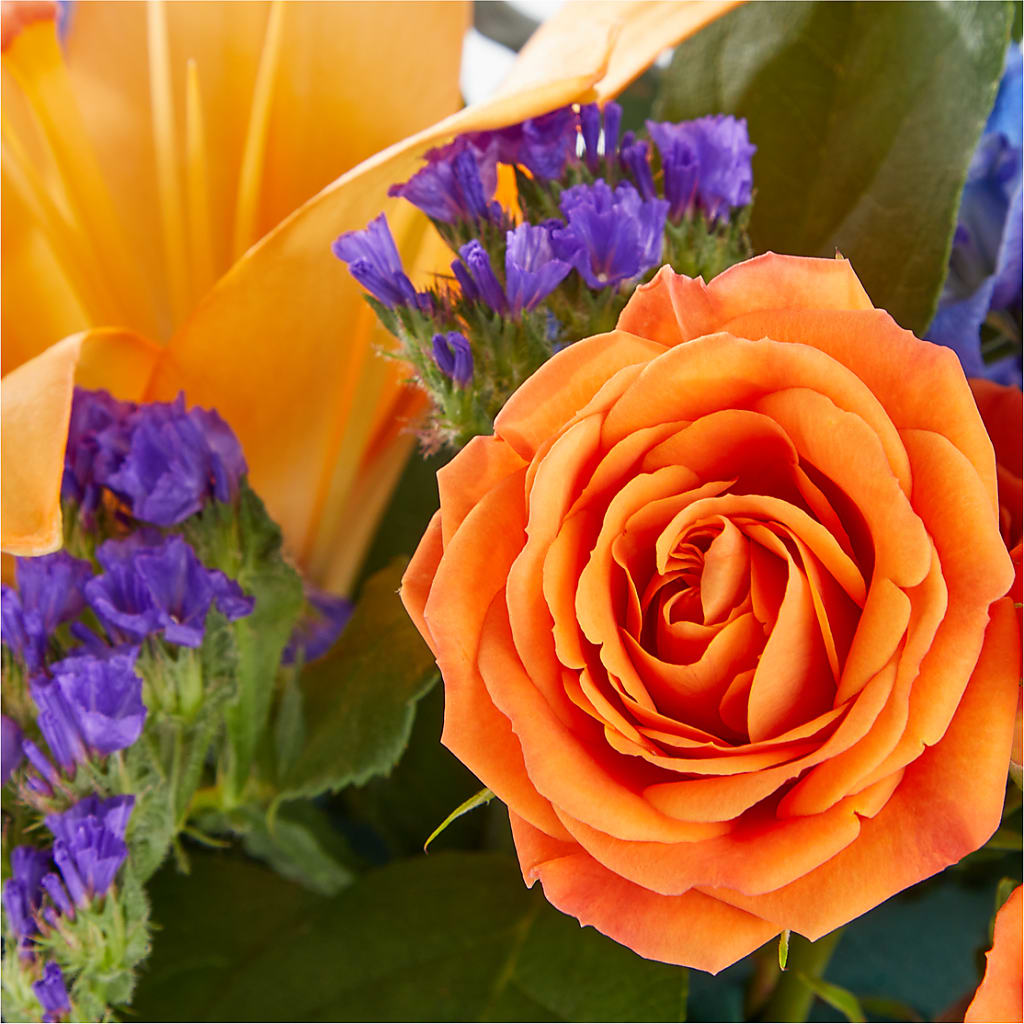 Radiant Citrus Box Bouquet –  Jasmin Florist, S Richmond Hl NY