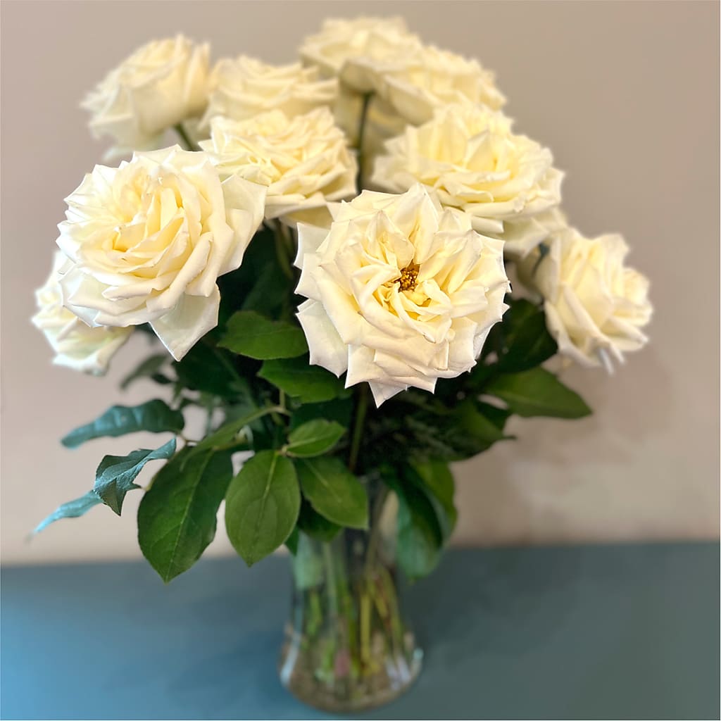 Long Stem Yellow Rose Bouquet –  Jasmin Florist, S Richmond Hl NY