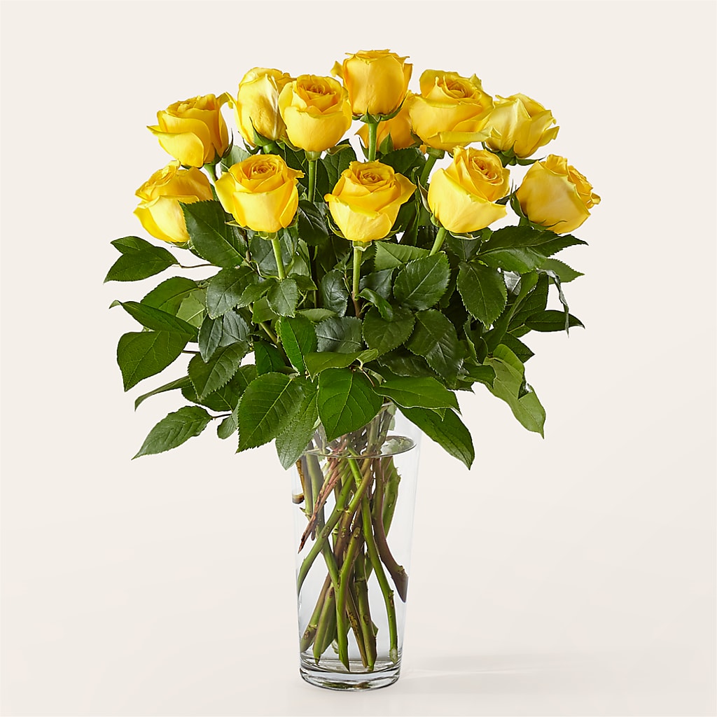 Long Stem Yellow Rose Bouquet –  Jasmin Florist, S Richmond Hl NY