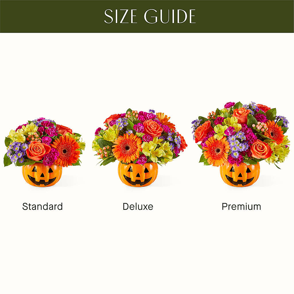 Tricks & Treats Pumpkin –  Jasmin Florist, S Richmond Hl NY