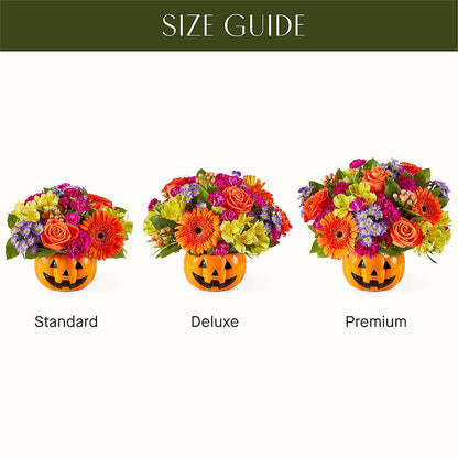 Tricks & Treats Pumpkin –  Jasmin Florist, S Richmond Hl NY