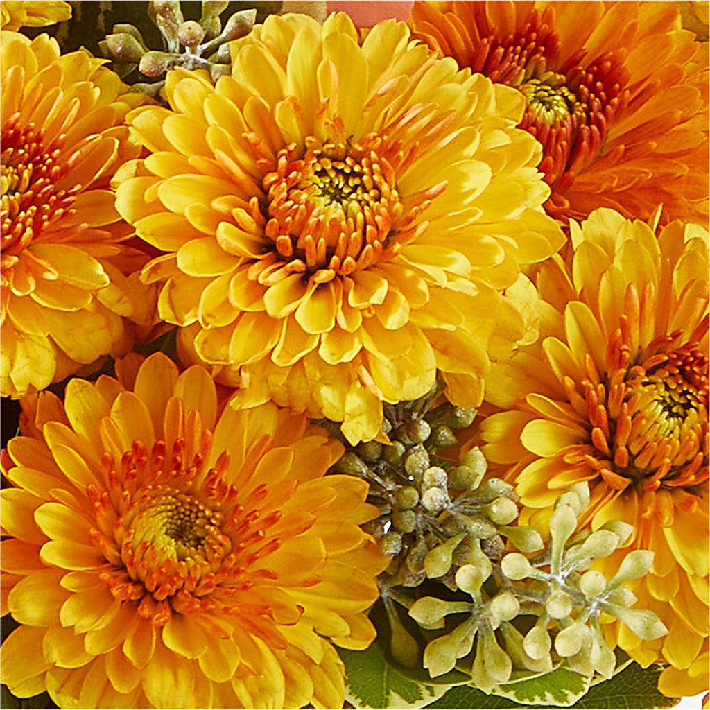 Peachy Pumpkin –  Jasmin Florist, S Richmond Hl NY