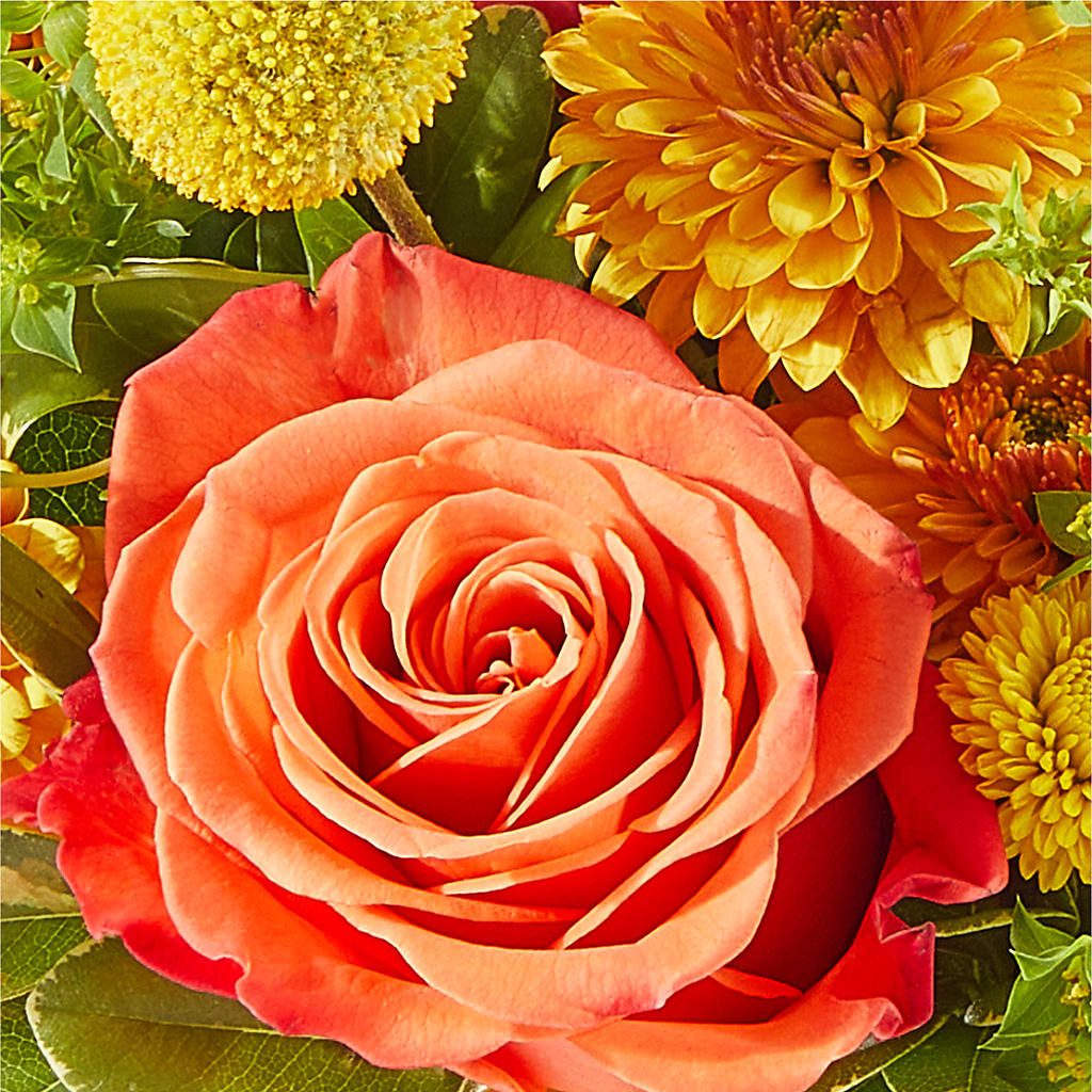 Gourdgeous Pumpkin –  Jasmin Florist, S Richmond Hl NY