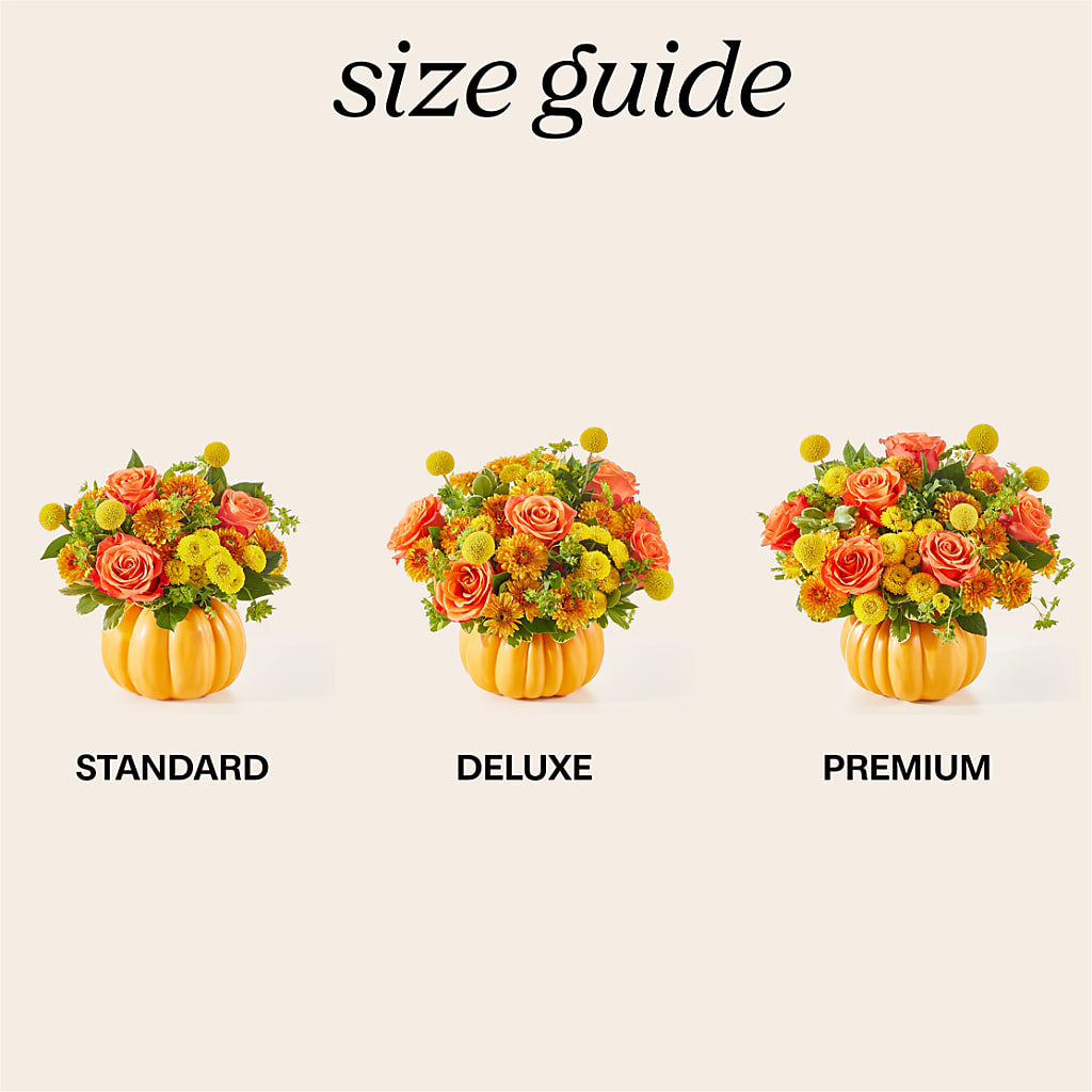 Gourdgeous Pumpkin –  Jasmin Florist, S Richmond Hl NY