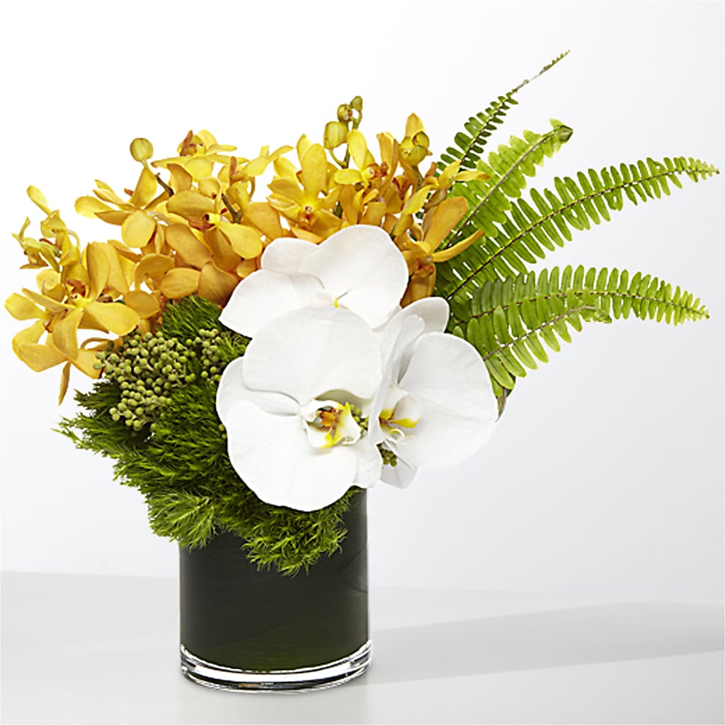 The Tropics –  Jasmin Florist, S Richmond Hl NY