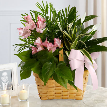 Living Spirit Dishgarden –  Jasmin Florist, S Richmond Hl NY