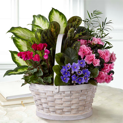Peaceful Garden Planter –  Jasmin Florist, S Richmond Hl NY