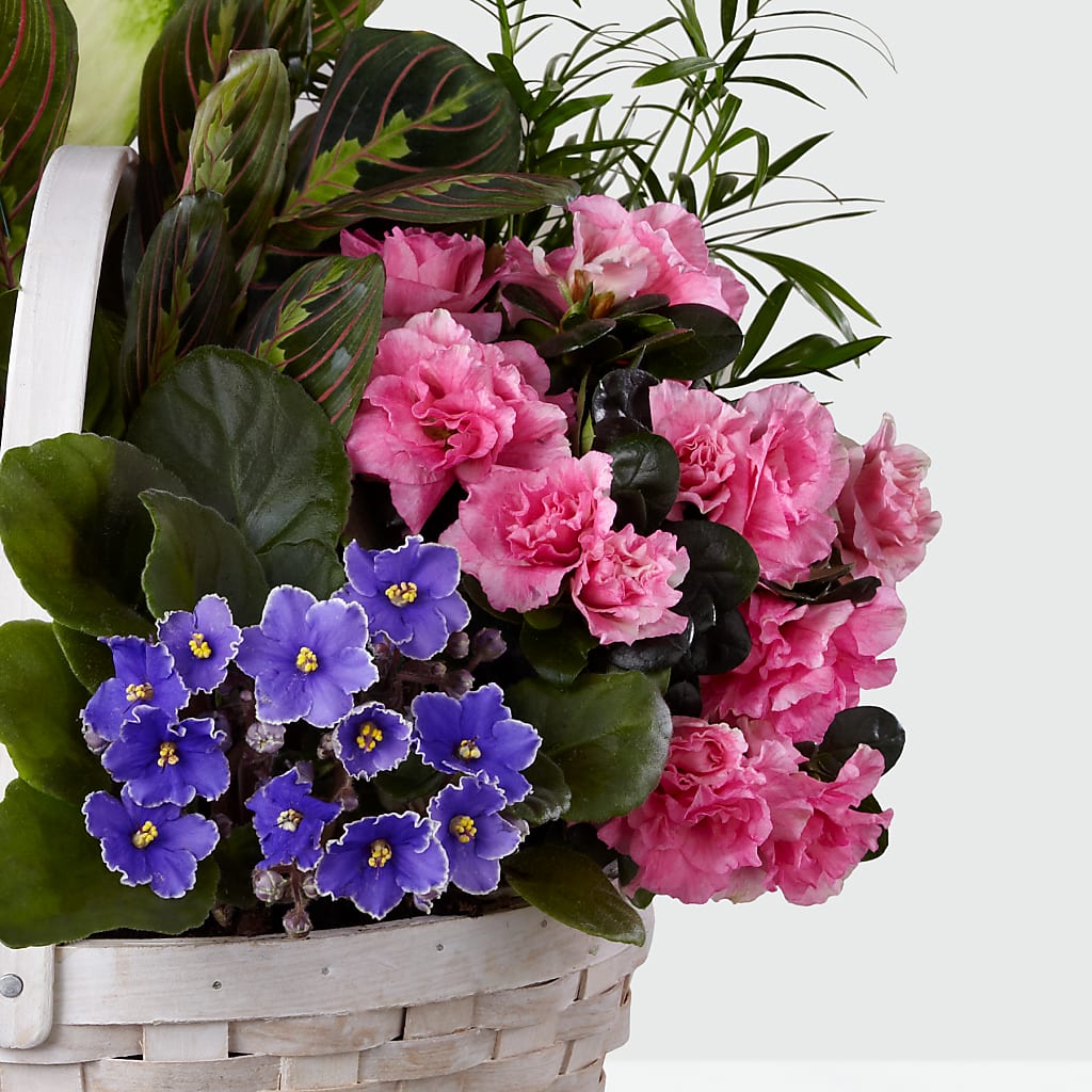 Peaceful Garden Planter –  Jasmin Florist, S Richmond Hl NY