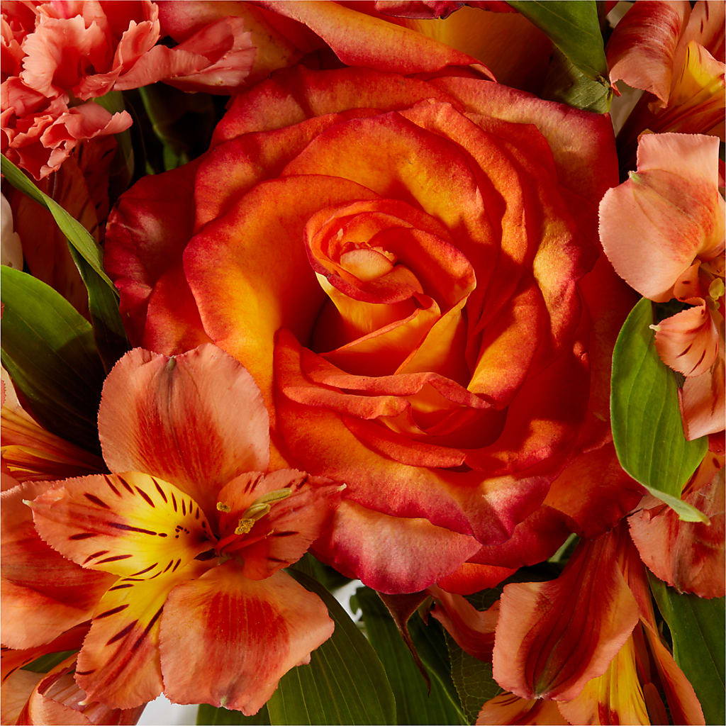 Apricot Glow Bouquet –  Jasmin Florist, S Richmond Hl NY