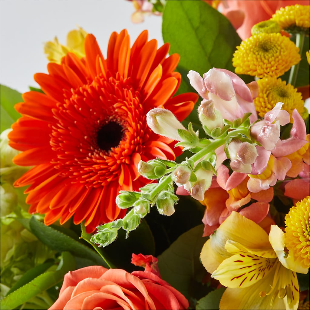 Autumn Sunshine Bouquet –  Jasmin Florist, S Richmond Hl NY