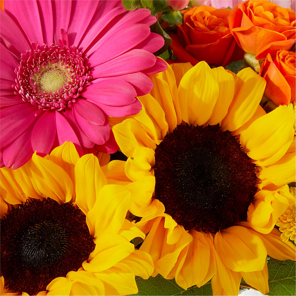 Beach Day Bouquet –  Jasmin Florist, S Richmond Hl NY