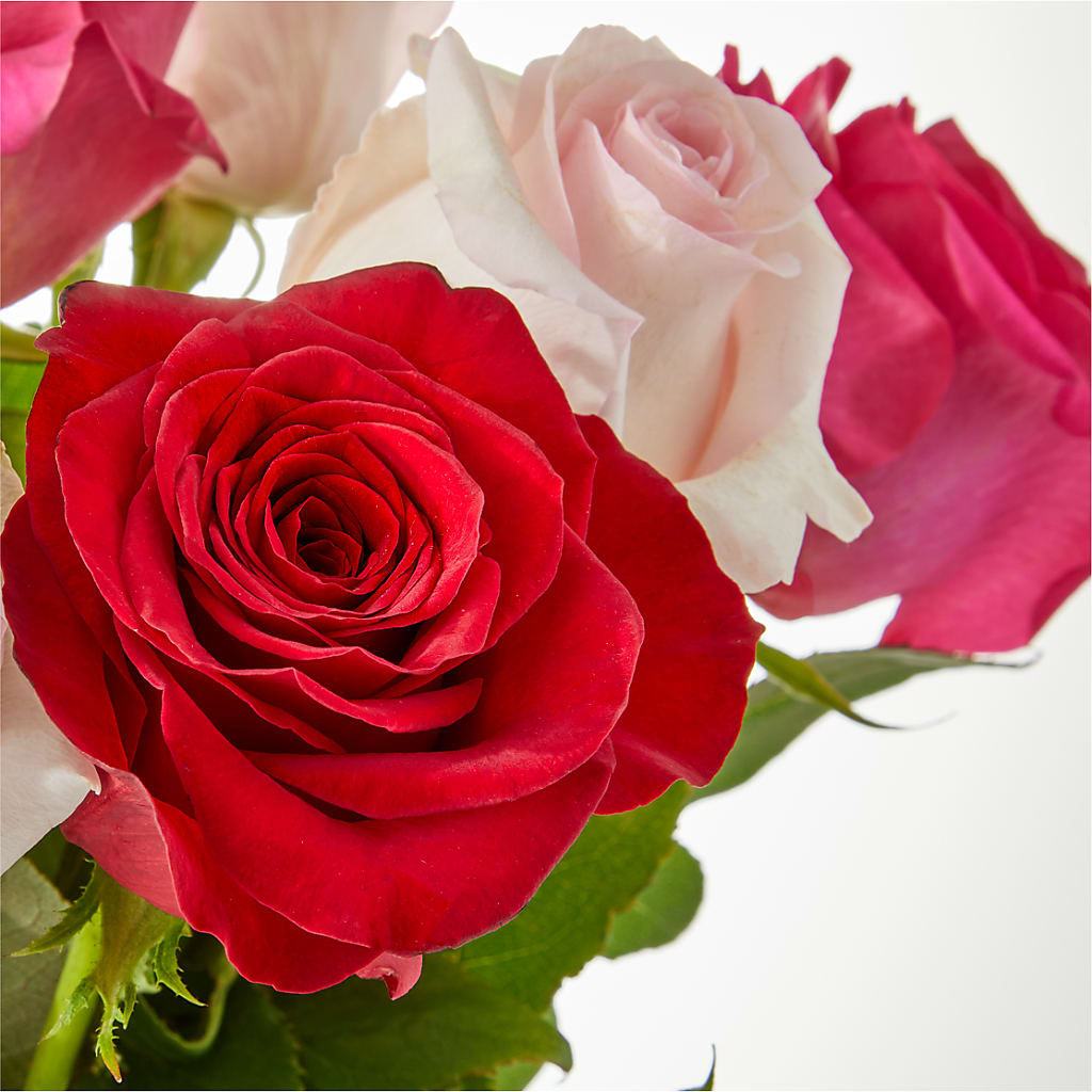 Charming Rose Bouquet –  Jasmin Florist, S Richmond Hl NY
