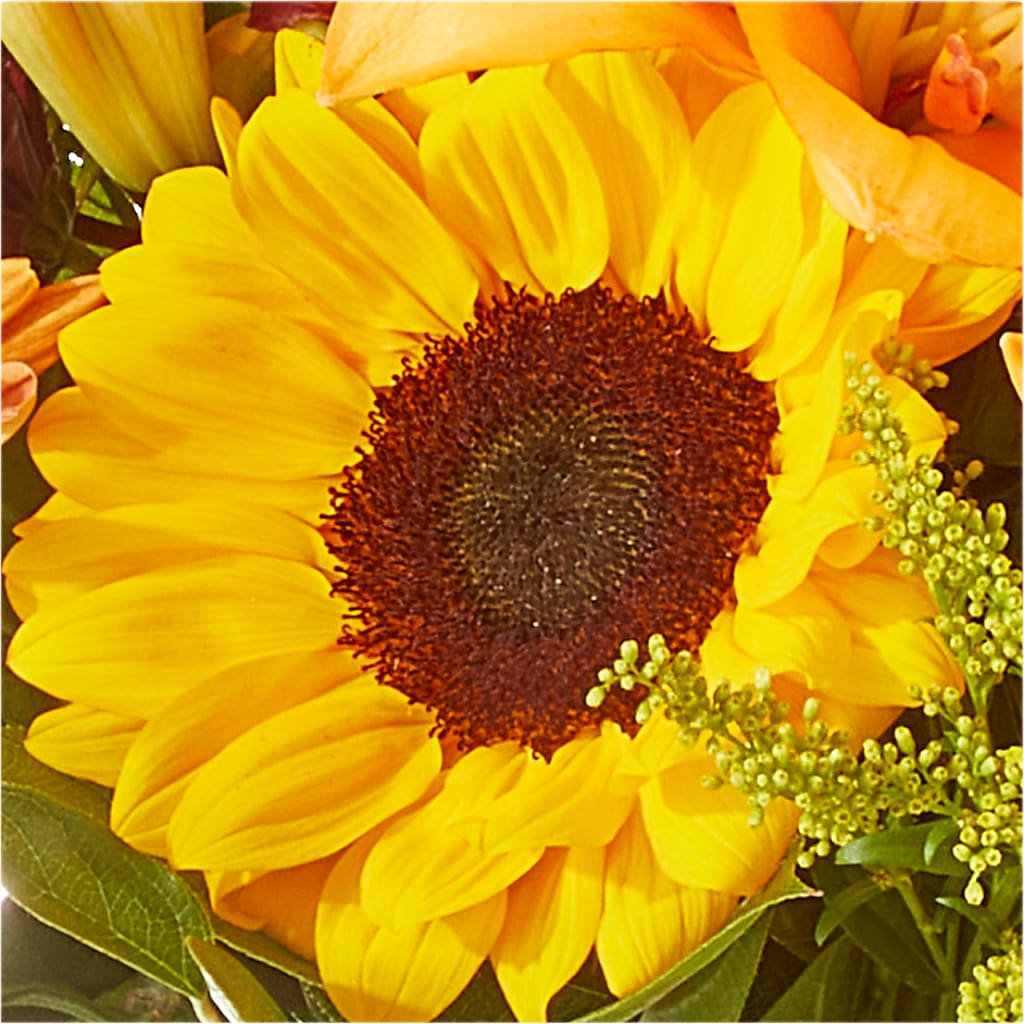 Seasons Change Bouquet –  Jasmin Florist, S Richmond Hl NY