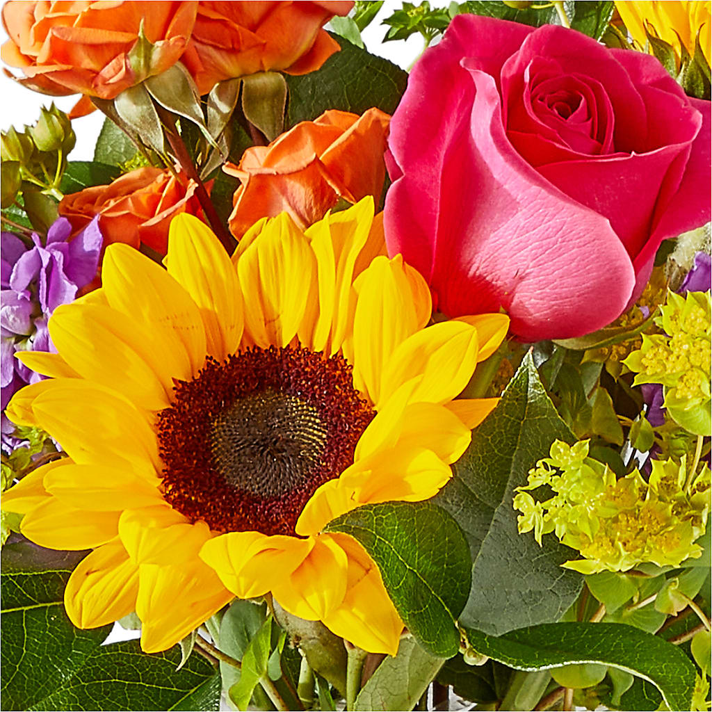 Vibrant Greetings Bouquet –  Jasmin Florist, S Richmond Hl NY