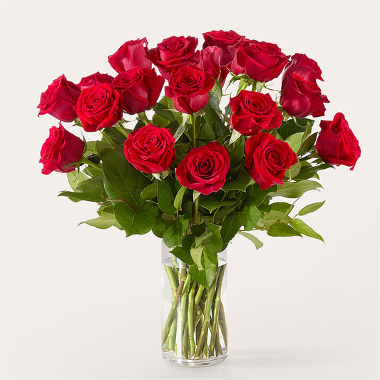 The One Red Rose Bouquet –  Jasmin Florist, S Richmond Hl NY