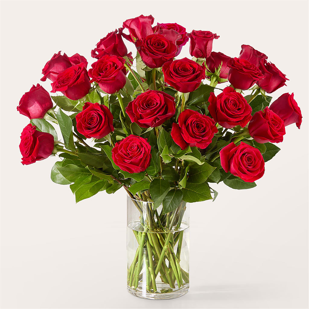 The One Red Rose Bouquet –  Jasmin Florist, S Richmond Hl NY