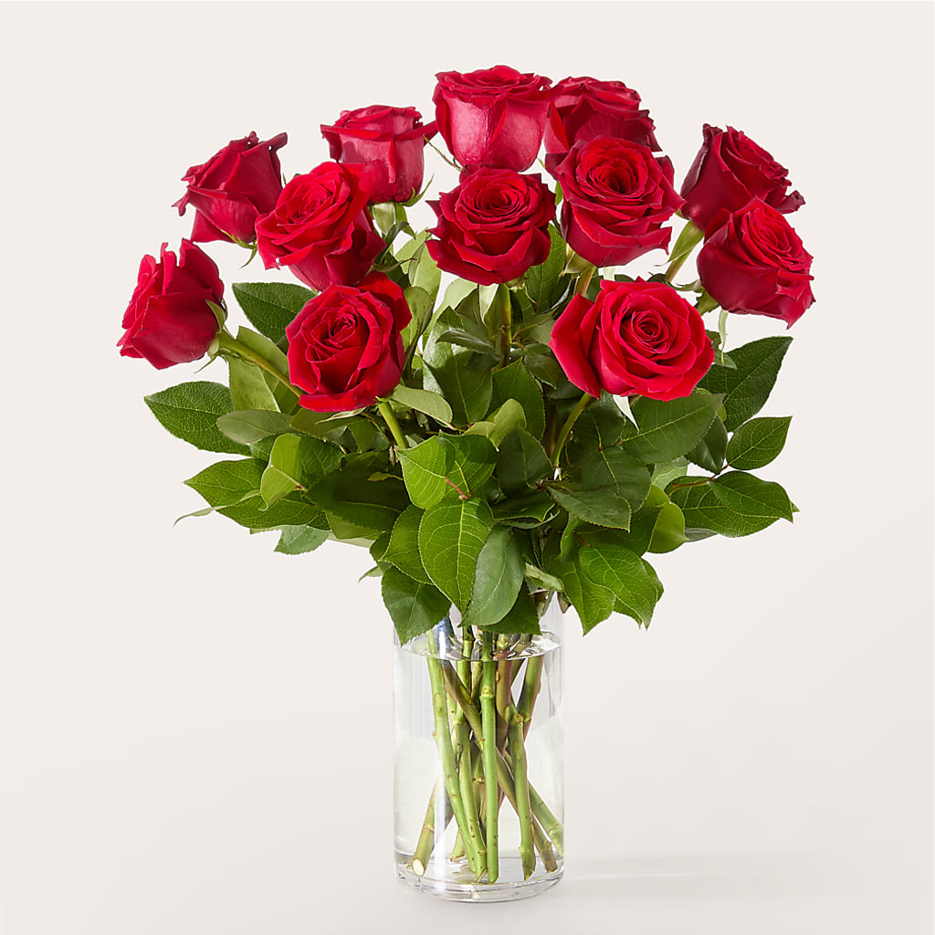 The One Red Rose Bouquet –  Jasmin Florist, S Richmond Hl NY