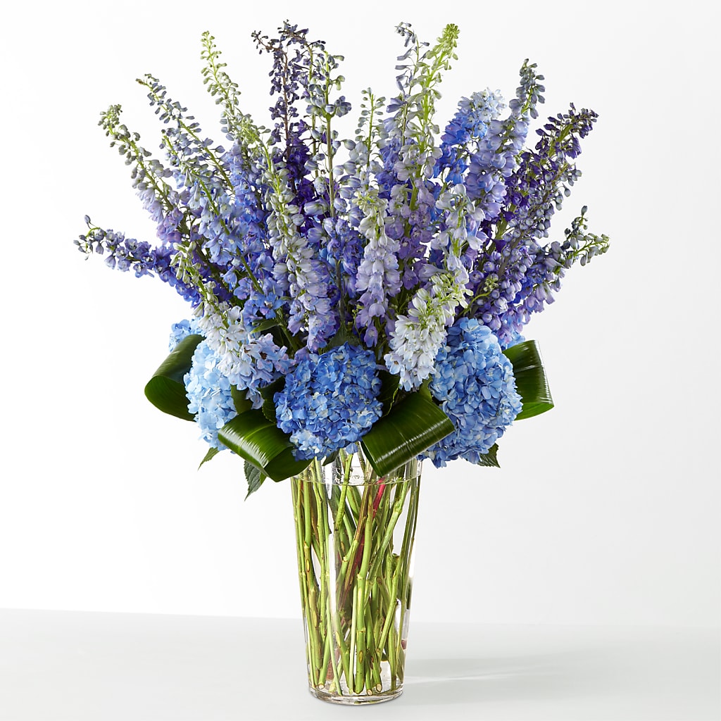 The Editorial –  Jasmin Florist, S Richmond Hl NY